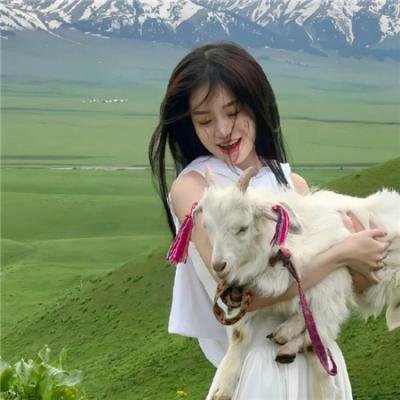 人猿泰山在曼哈顿